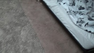 Инцест, Молоденькие, Минет, Брюнетки, С сестрой, С братом, Кончил на киску,