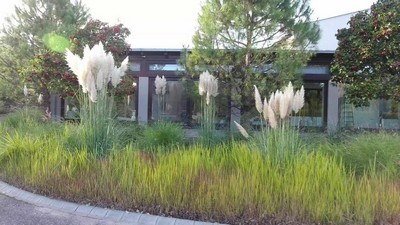 Русские звезды, Анальный, Большие сиськи, Волосатые, Групповое, Русское, Русский анал, Групповое русское, Русские большие сиськи,