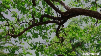 Красивые попки, Большие сиськи, Волосатые, Молодые, Брюнетки, Большие натуральные сиськи,