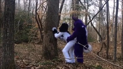 Косплей, По месту, Домашнее, В лесу, Фурри,